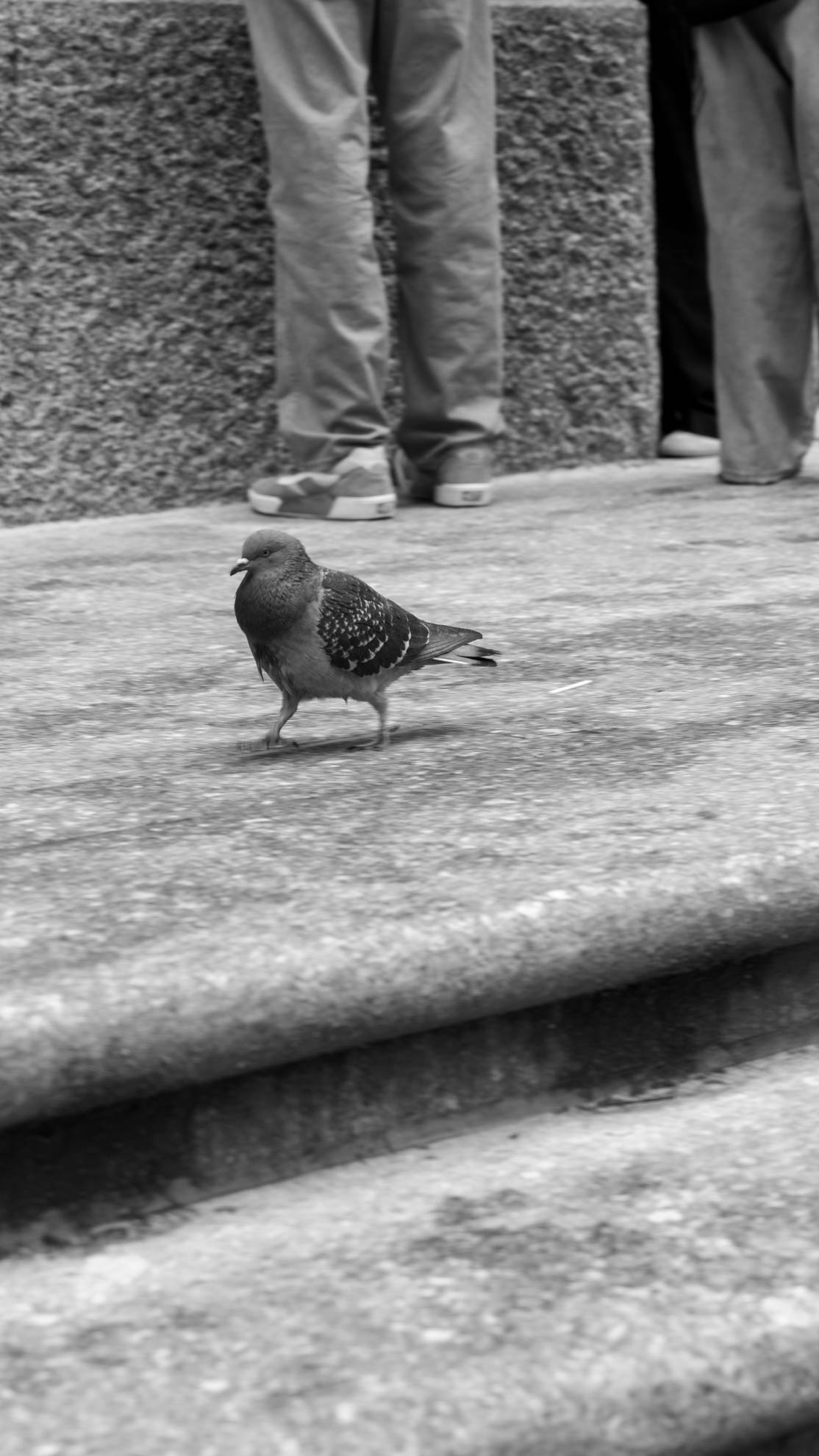 Cities — DSC07829