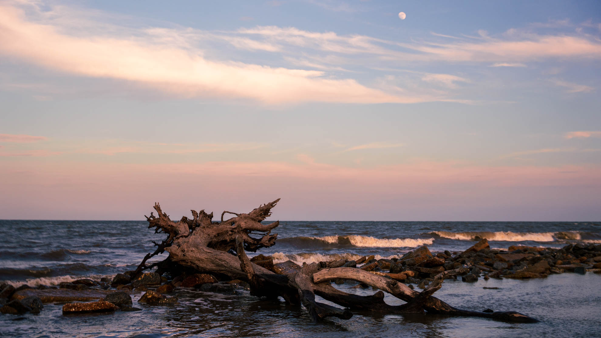 Driftwood — DSC06811