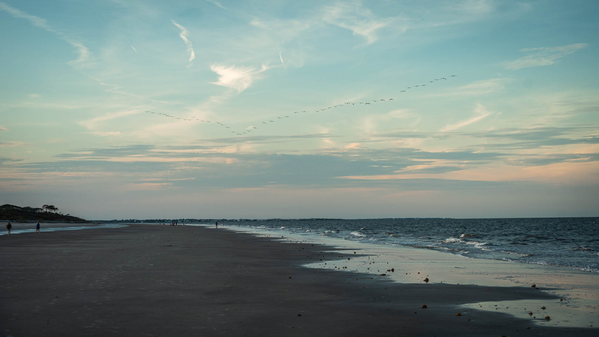 Driftwood — DSC08048
