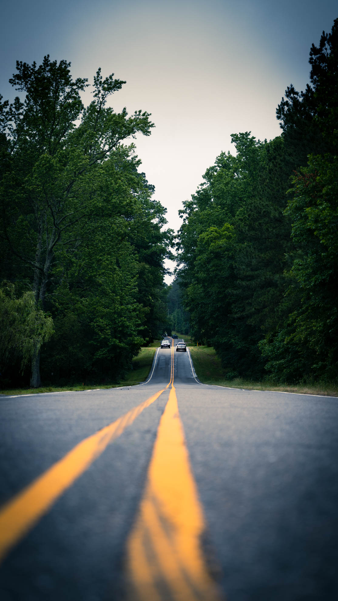 Landscapes — DSC00202