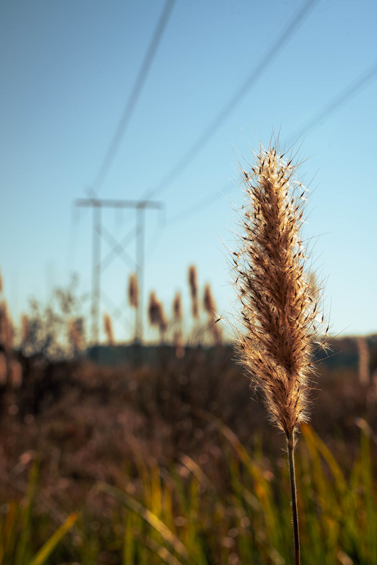 Landscapes — DSC02490
