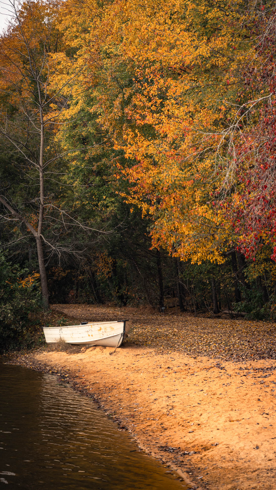 Landscapes — DSC02605