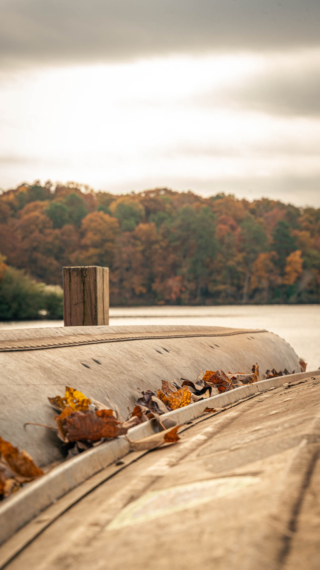 Landscapes — DSC02607