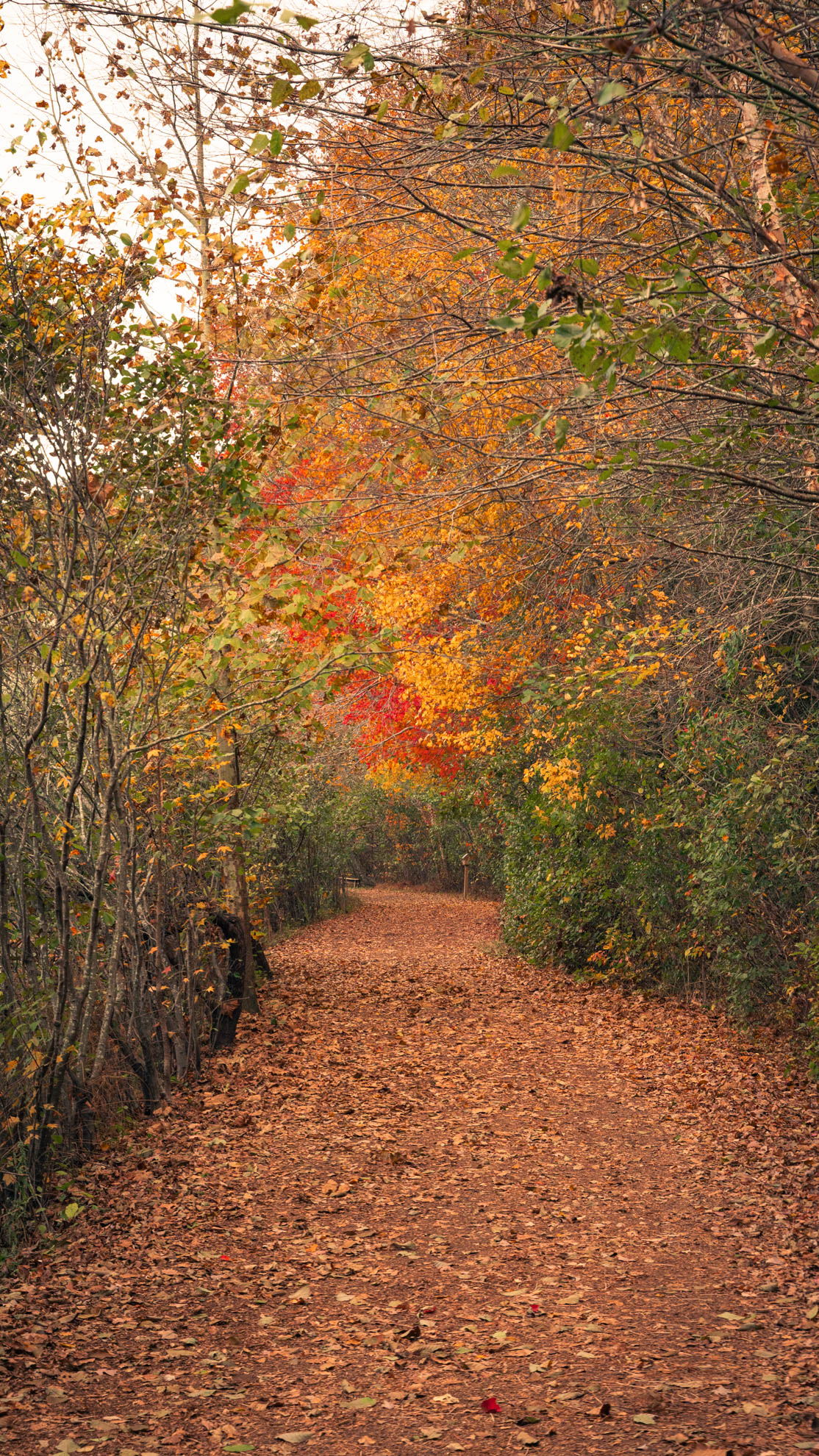 Landscapes — DSC02638