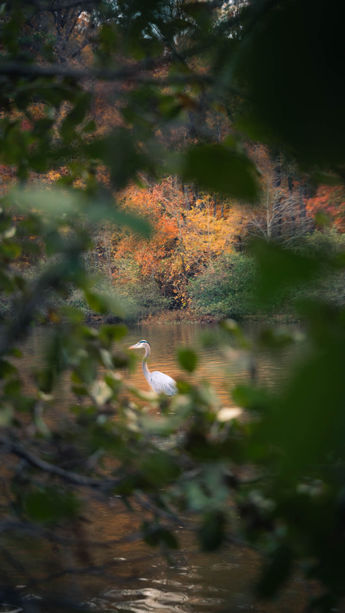 Landscapes — DSC02645