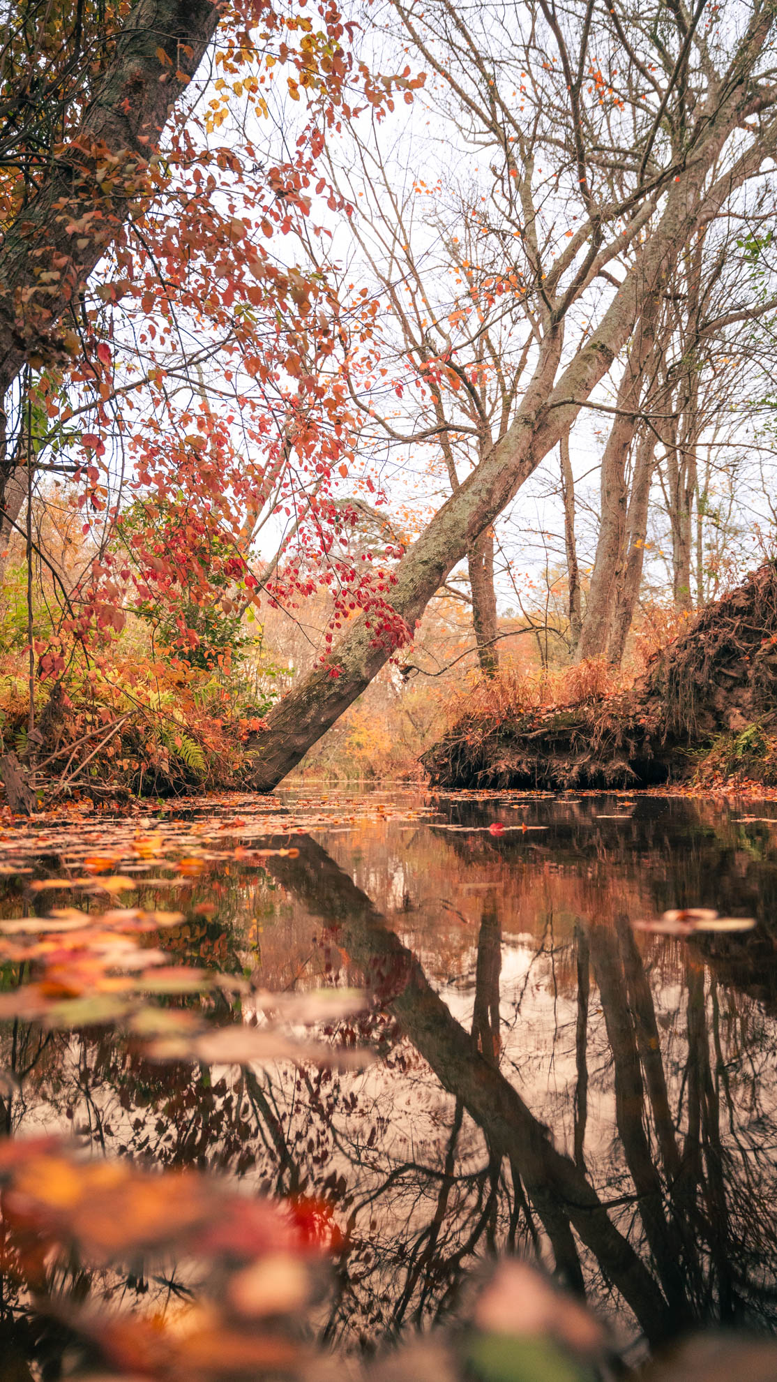 Landscapes — DSC02656
