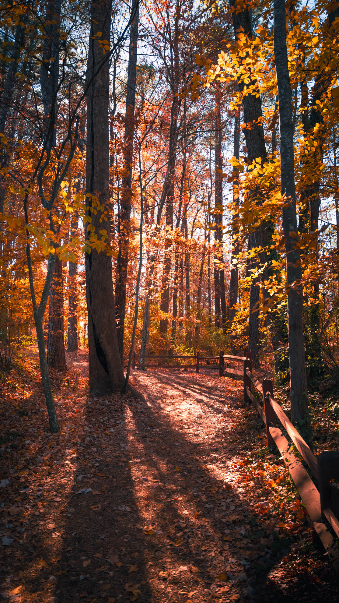 Landscapes — DSC02774