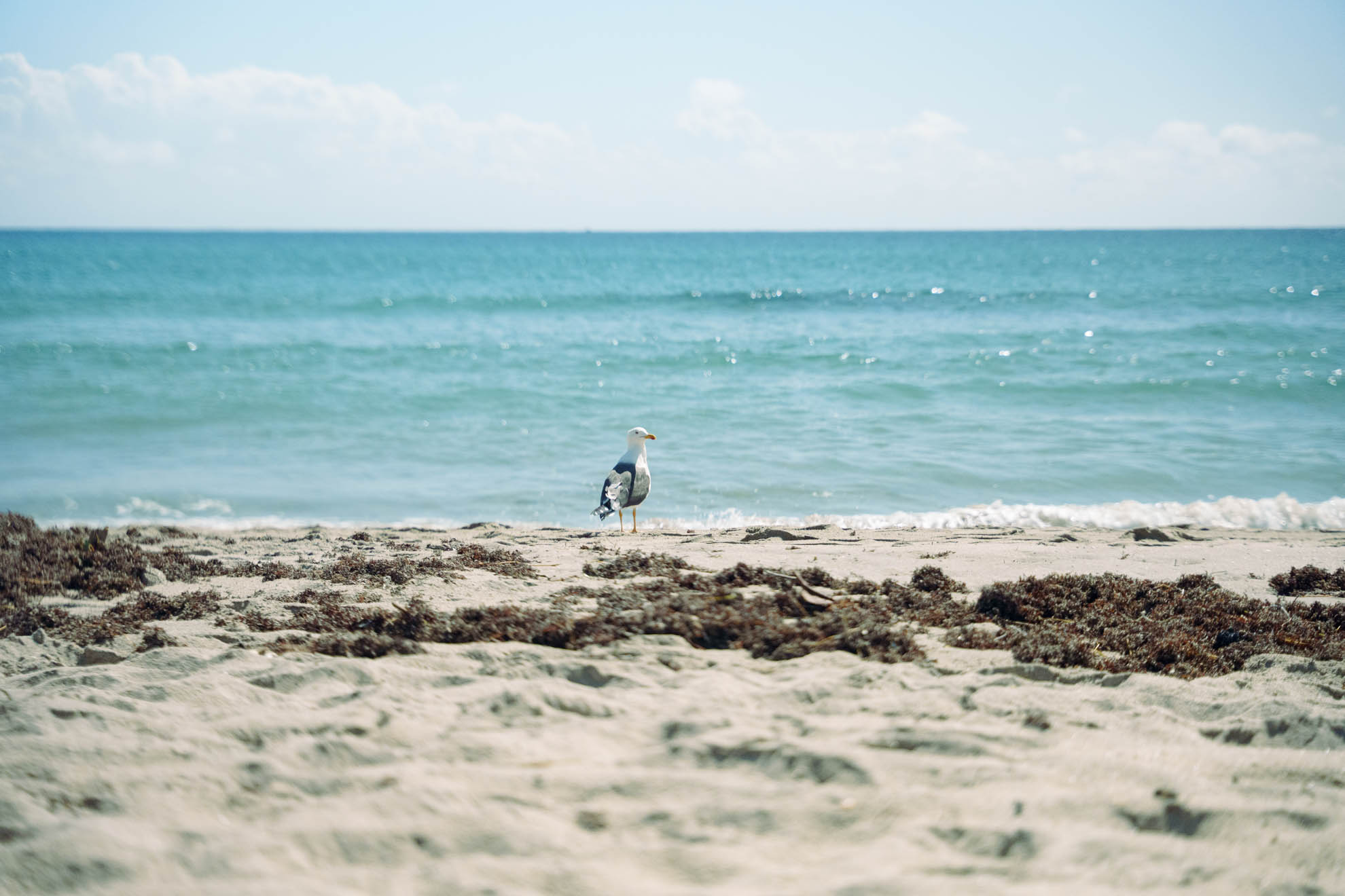 Landscapes — DSC03127