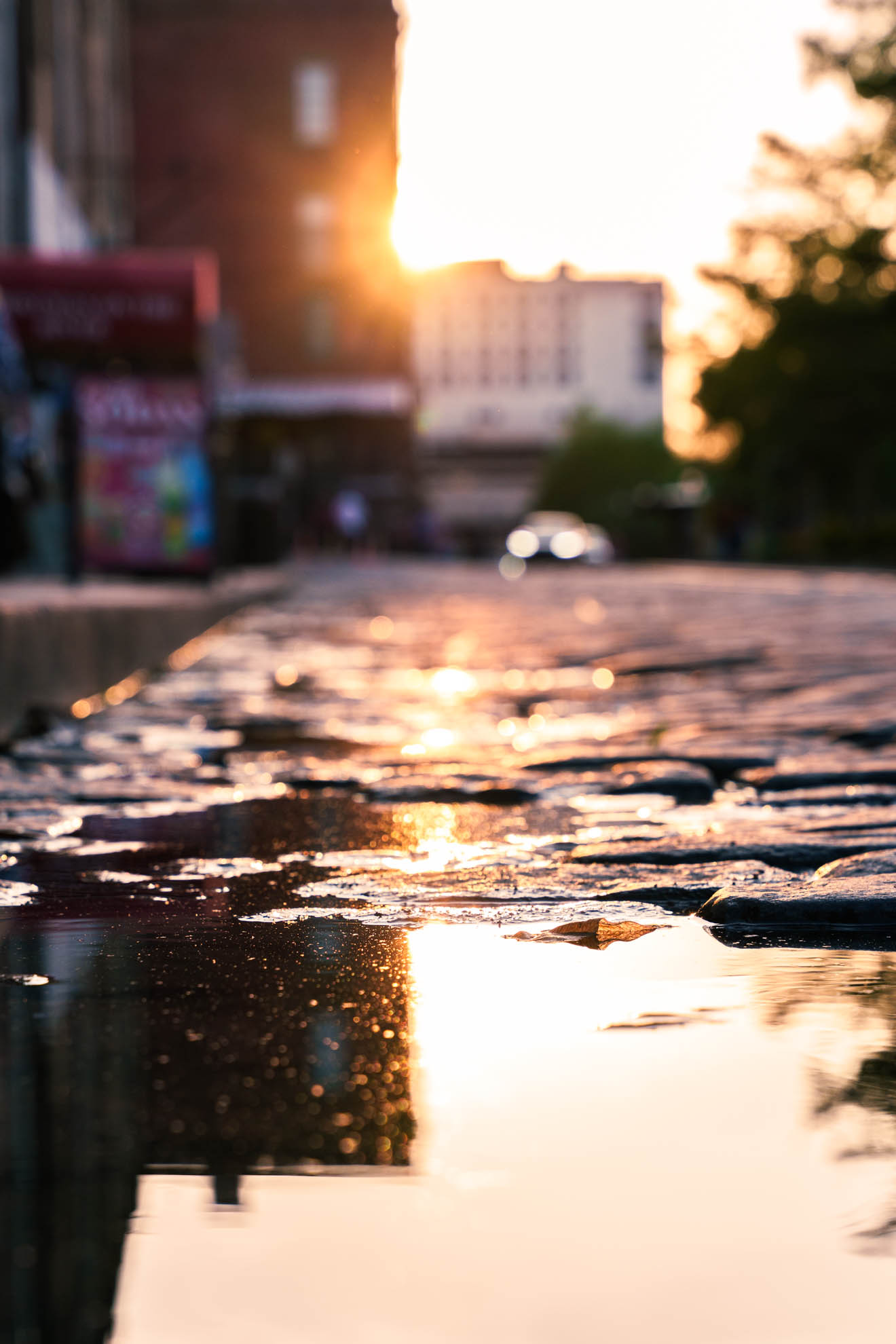 Sunset reflected in a rain puddle on a Savannah street