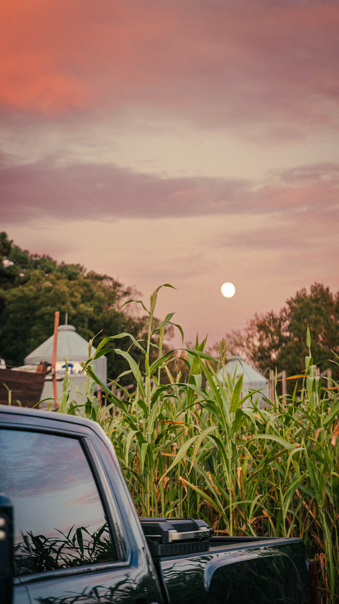Moon rising over a cornfield with a pickup truck in the foreground