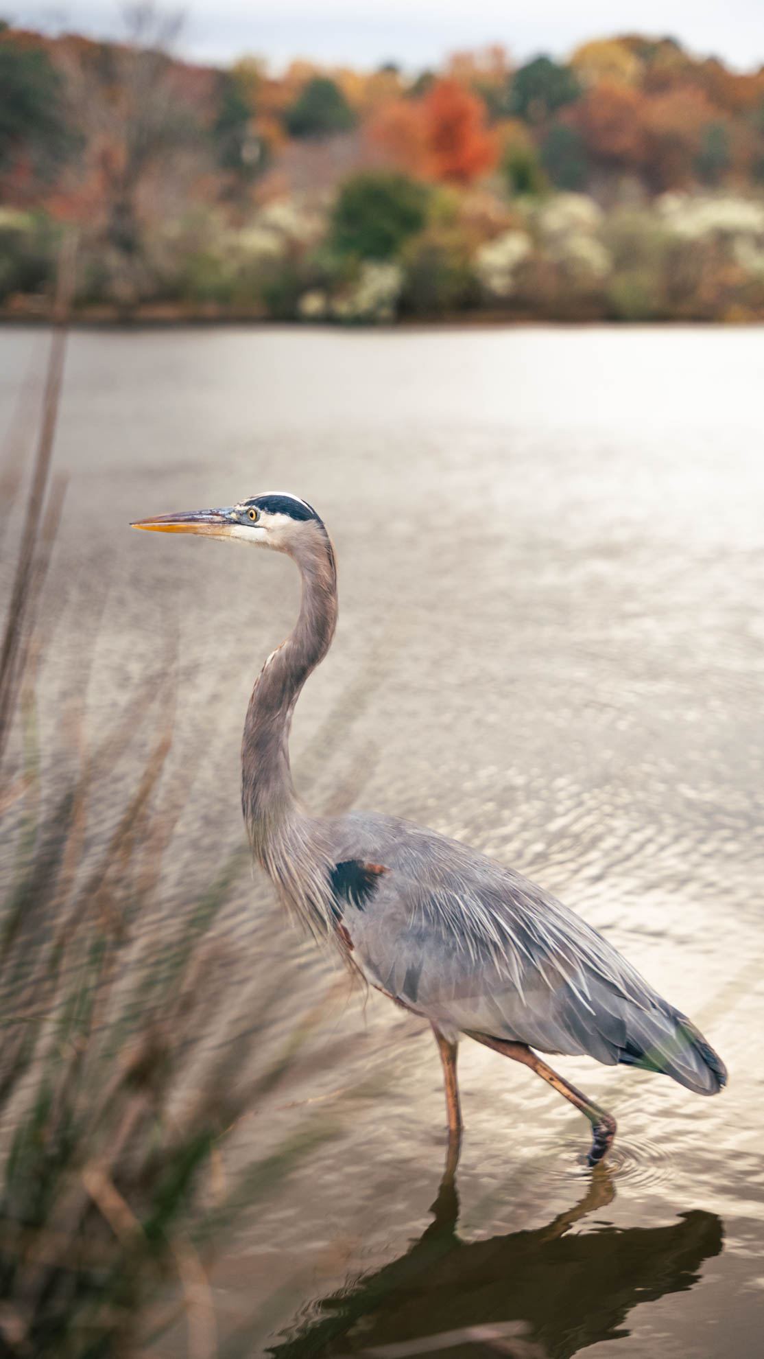Wildlife — DSC02688