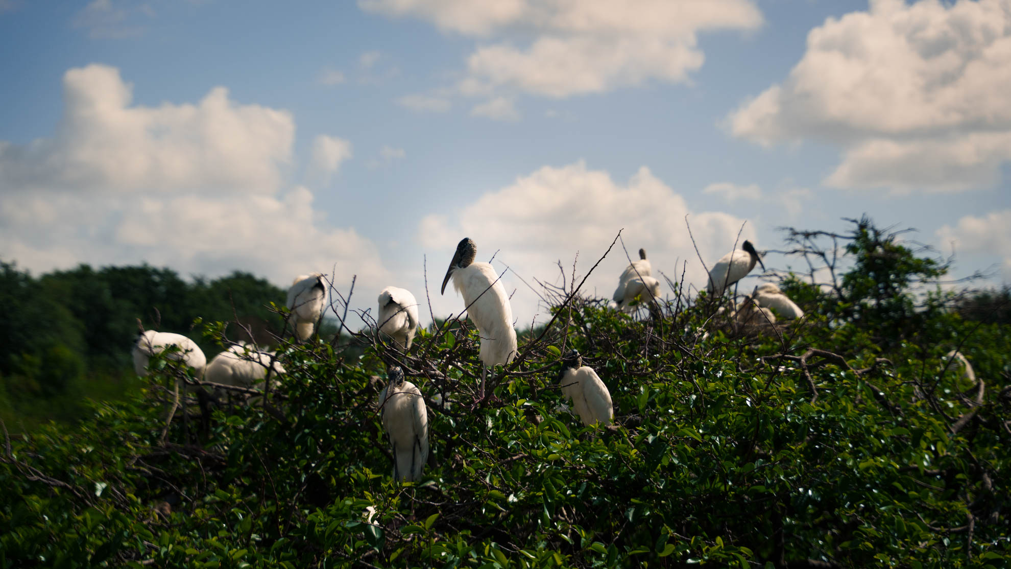 Wildlife — DSC03292